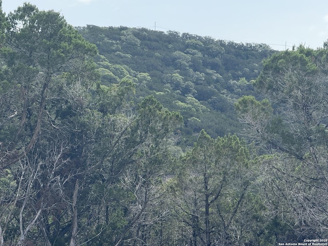 1608 Spring, Pipe Creek, TX 78063