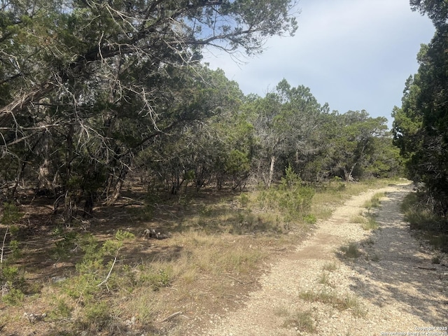 1608 Spring, Pipe Creek, TX 78063