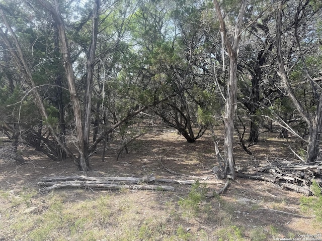 1608 Spring, Pipe Creek, TX 78063