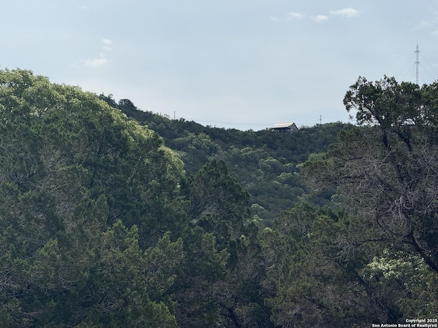 1608 Spring, Pipe Creek, TX 78063