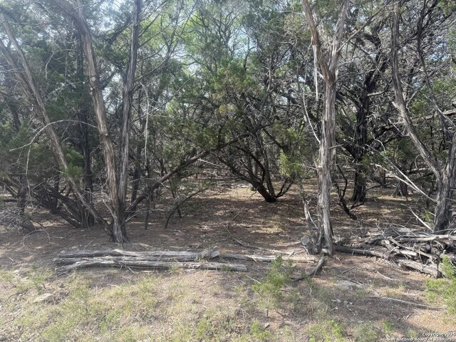 1608 Spring, Pipe Creek, TX 78063