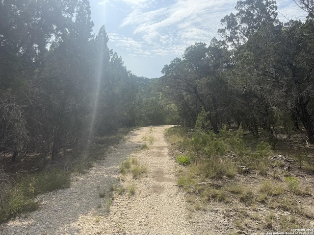 1608 Spring, Pipe Creek, TX 78063