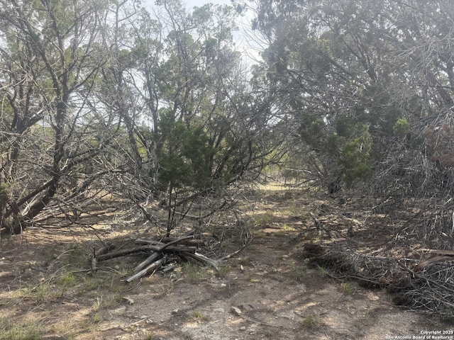 1608 Spring, Pipe Creek, TX 78063