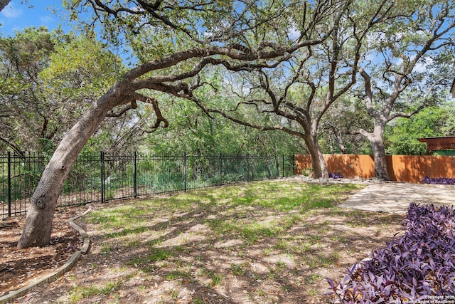 2610 Plum Holw, San Antonio, TX 78258 - fenced backyard with a patio