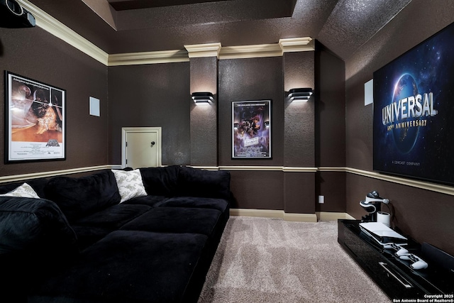 26019 Red Heron, San Antonio, TX 78261 - home theater room with carpet floors