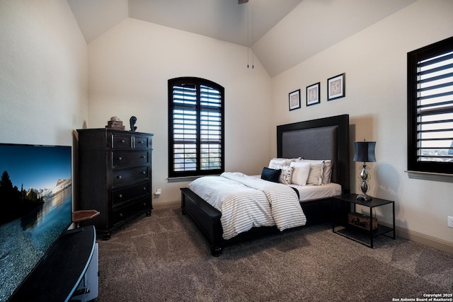 26019 Red Heron, San Antonio, TX 78261 - bedroom with lofted ceiling, dark colored carpet, and baseboards