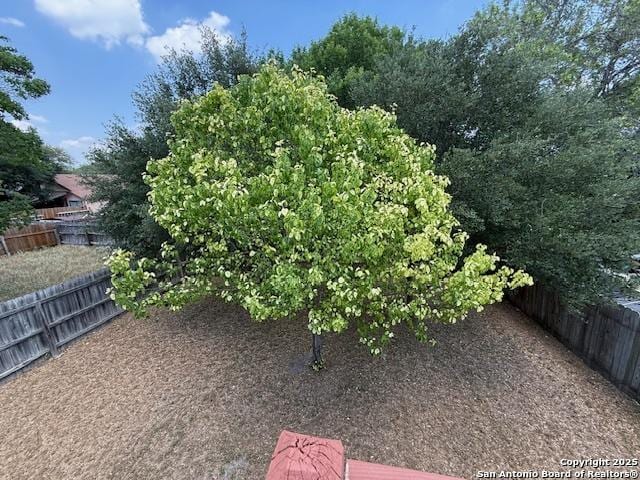2854 Cherry Fld, San Antonio, TX 78245 - view of yard
