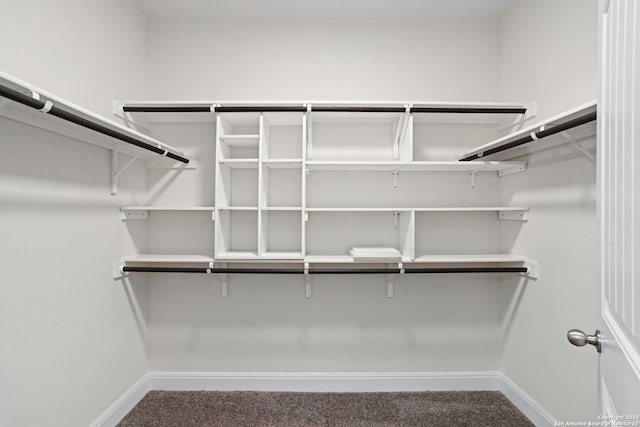 13106 Welder, San Antonio, TX 78253 - spacious closet featuring carpet