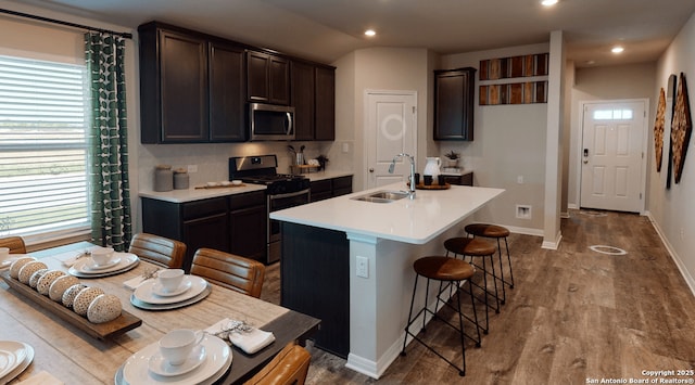 111 Barton Pt, Cibolo, TX 78108 - kitchen with stainless steel appliances, a sink, healthy amount of natural light, wood finished floors, and recessed lighting