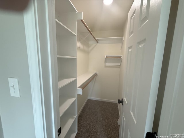 390 W Park St, Vidor, TX 77662 - spacious closet with carpet