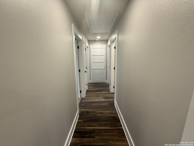 390 W Park St, Vidor, TX 77662 - corridor with attic access, baseboards, and dark wood-style flooring