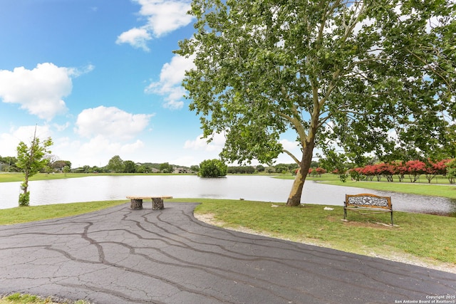 27026 Wooded Acres, San Antonio, TX 78260 - water view