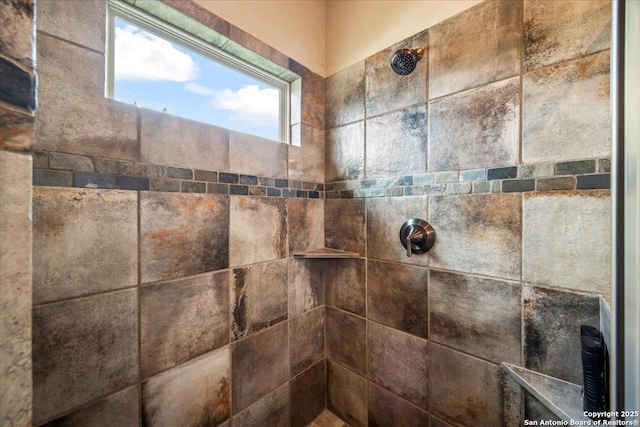 406 Breathless View St, San Antonio, TX 78260 - bathroom view of a tile shower