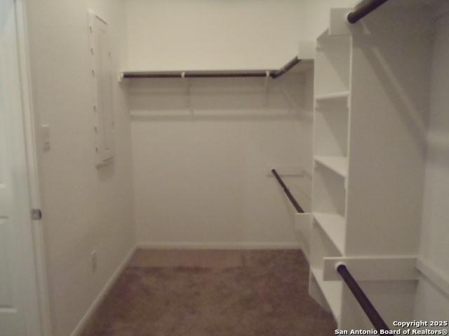 5919 Corsicana, Seguin, TX 78155 - spacious closet featuring carpet floors