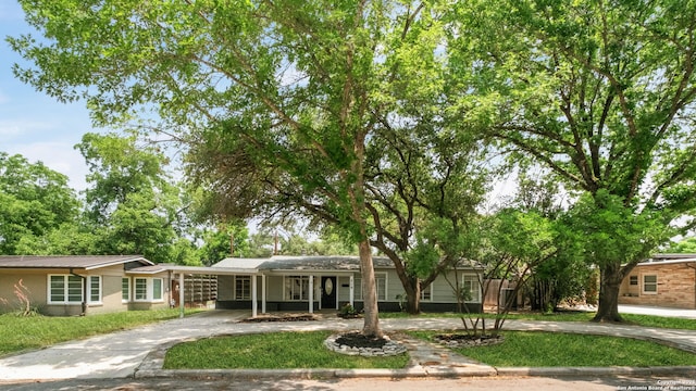 219 Ridgehaven, San Antonio, TX 78209 - view of front of home with driveway, a carport, and a front lawn