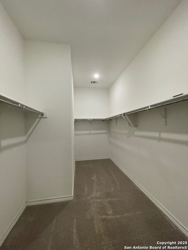 12023 Horseshoe, San Antonio, TX 78254 - walk in closet with dark colored carpet