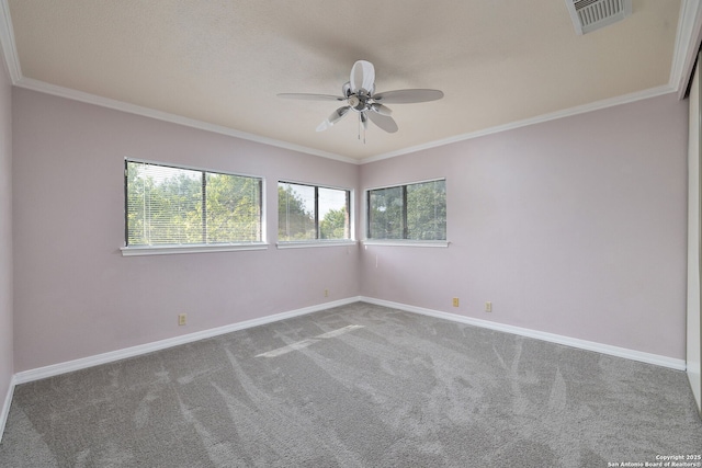 14211 Edge Pt, San Antonio, TX 78230 - spare room featuring a ceiling fan, carpet, baseboards, and ornamental molding