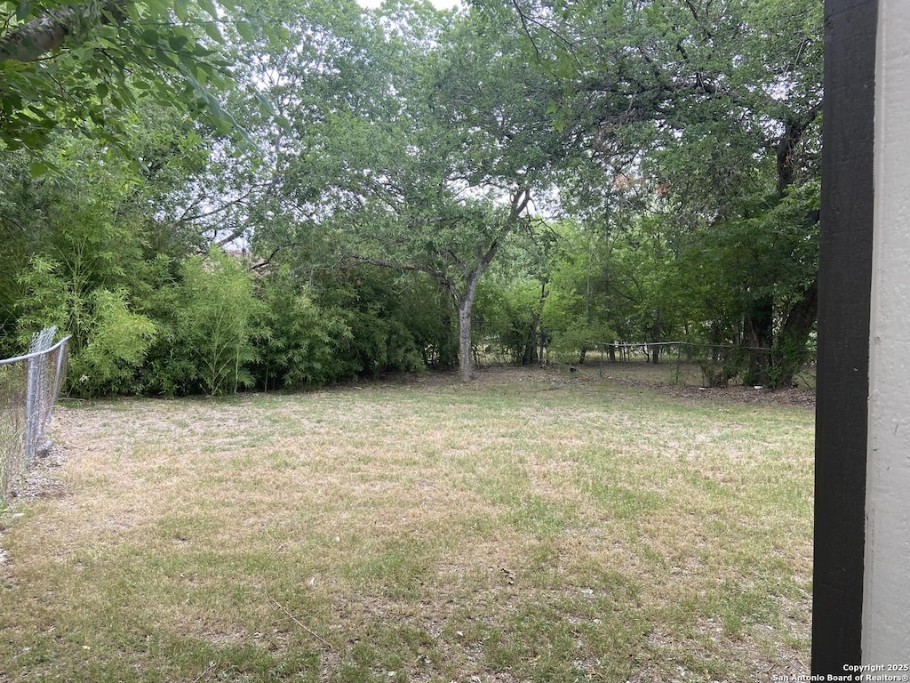3435 Gateway Dr, San Antonio, TX 78210 - view of yard
