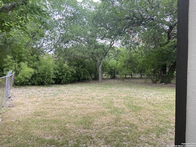 3435 Gateway Dr, San Antonio, TX 78210 - view of yard