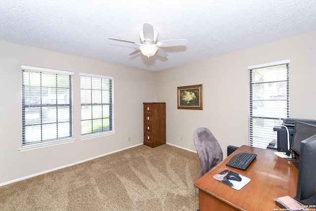 1415 Synandra, San Antonio, TX 78232 - carpeted office space featuring plenty of natural light, ceiling fan, baseboards, and a textured ceiling