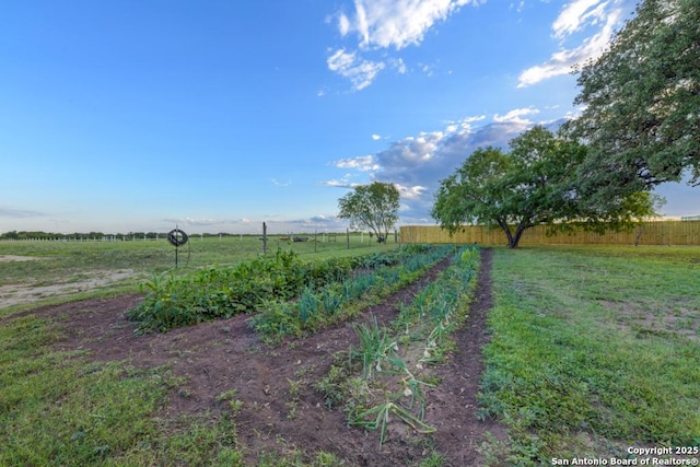 15592 Miller, Saint Hedwig, TX 78152 - view of yard with a view of countryside