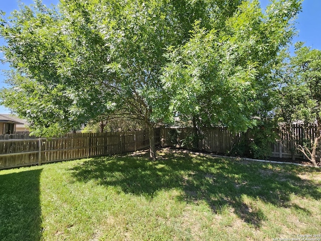 2115 Bentwood, New Braunfels, TX 78130 - view of yard