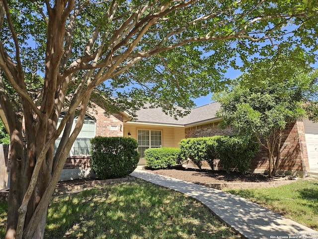 2115 Bentwood, New Braunfels, TX 78130 - obstructed view of property featuring brick siding and roof with shingles