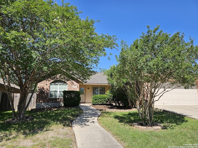 2115 Bentwood, New Braunfels, TX 78130 - view of property hidden behind natural elements with brick siding