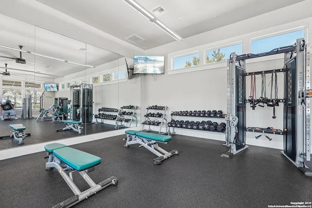 23402 Grande Vis, San Antonio, TX 78261 - gym featuring healthy amount of natural light