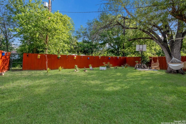 243 Future Dr, San Antonio, TX 78213 - view of yard