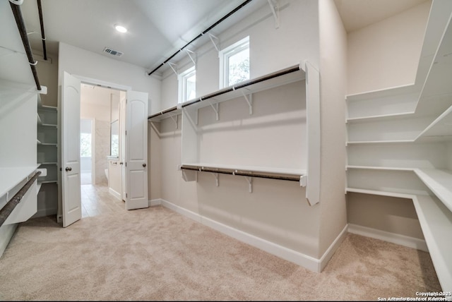 8119 Ventura Blvd, Selma, TX 78154 - spacious closet featuring light colored carpet