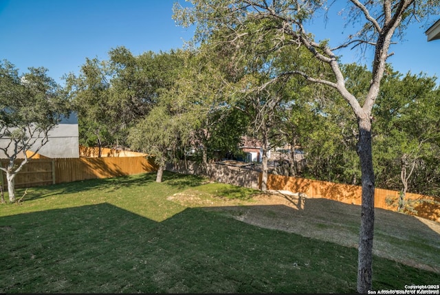8119 Ventura Blvd, Selma, TX 78154 - view of yard