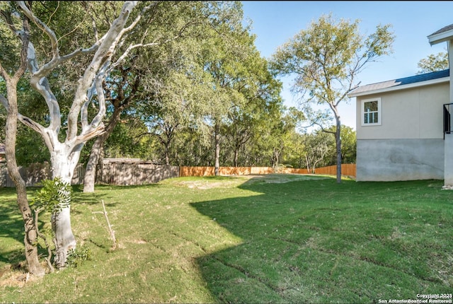 8119 Ventura Blvd, Selma, TX 78154 - view of yard