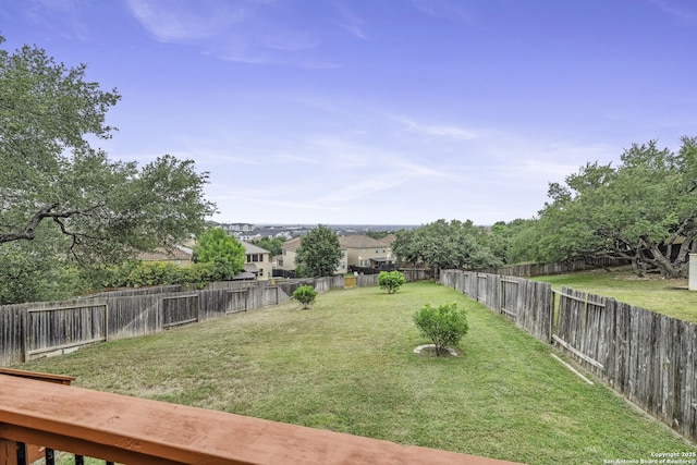 18131 Muir Glen Dr, San Antonio, TX 78257 - view of yard
