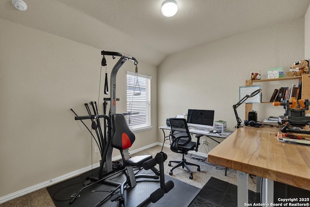 1902 Kalli Jo, New Braunfels, TX 78130 - office area with carpet, baseboards, and vaulted ceiling