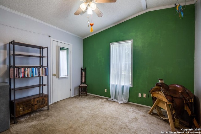22337 Red Sand, San Antonio, TX 78264 - unfurnished bedroom with vaulted ceiling, crown molding, a textured ceiling, carpet, and ceiling fan