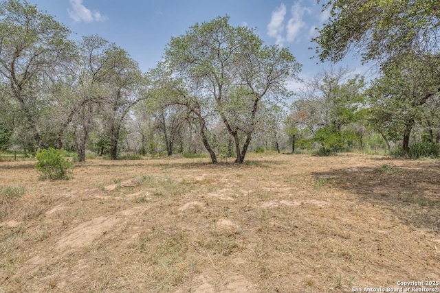 22337 Red Sand, San Antonio, TX 78264 - view of local wilderness