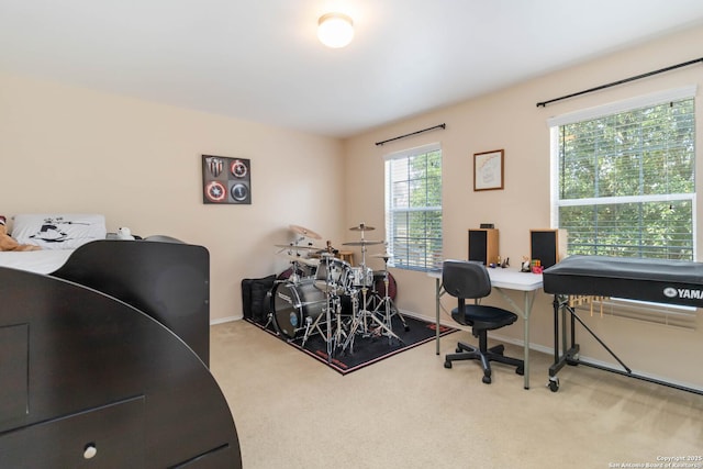 11807 Amber Tree, San Antonio, TX 78254 - office area with carpet and baseboards