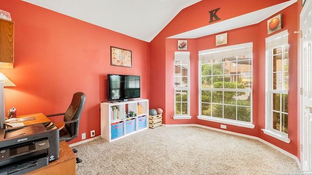 21627 Rio Comal, San Antonio, TX 78259 - home office with vaulted ceiling, carpet floors, and baseboards