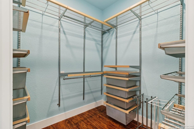 3902 Creek Pt, San Antonio, TX 78230 - spacious closet with wood finished floors