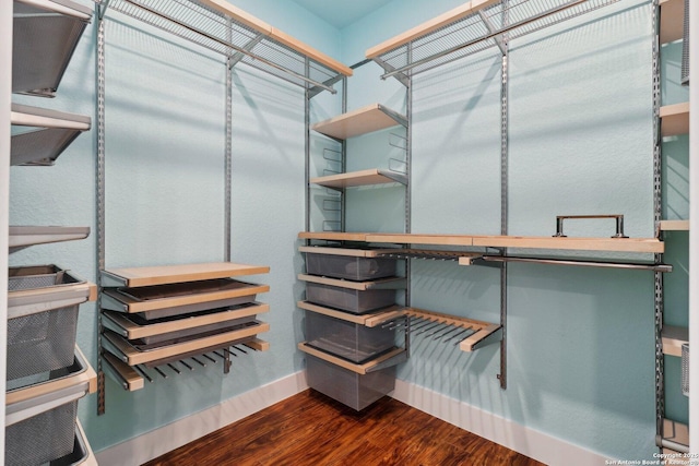 3902 Creek Pt, San Antonio, TX 78230 - walk in closet with dark wood-style floors