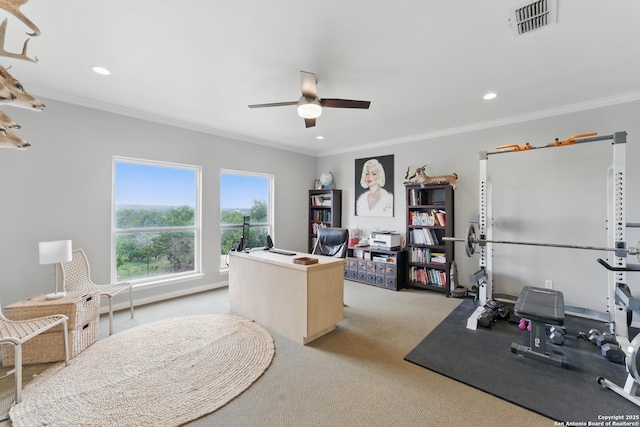 810 Pinnacle, New Braunfels, TX 78132 - office featuring ornamental molding, light carpet, a ceiling fan, and recessed lighting