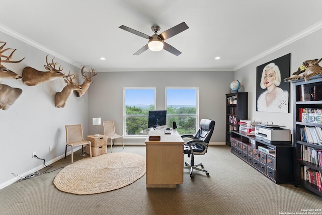 810 Pinnacle, New Braunfels, TX 78132 - home office with ceiling fan, carpet, crown molding, baseboards, and recessed lighting