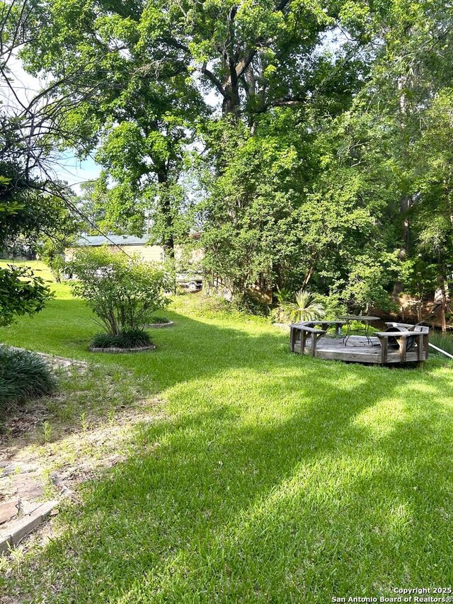 129 W High Line, Trinity, TX 75862 - view of green lawn