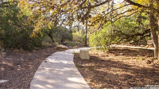 5483 Jasmine, Bulverde, TX 78163 - view of home's community