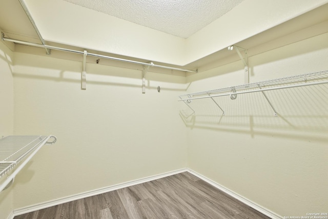 6100 Woodlake Pkwy Unit 706, San Antonio, TX 78244 - walk in closet with wood finished floors