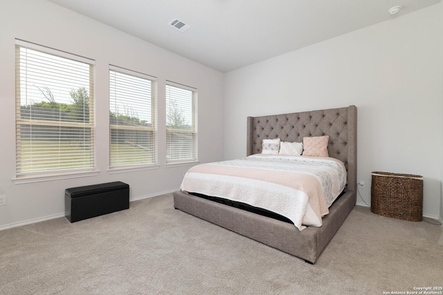 2617 River Pointe, San Antonio, TX 78245 - bedroom featuring carpet and baseboards