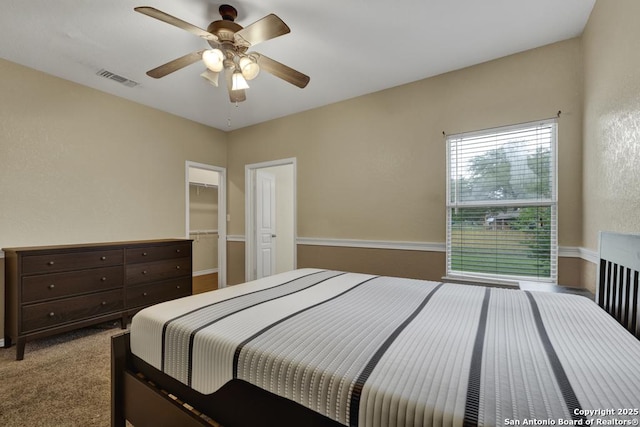 141 Rio Grande, Seguin, TX 78155 - bedroom featuring a walk in closet, ceiling fan, carpet, and a closet