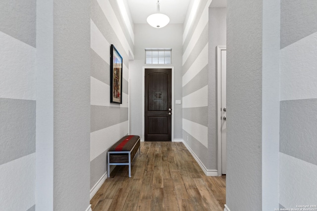 9730 Kremmen, Boerne, TX 78006 - entryway with a textured wall and wood finished floors