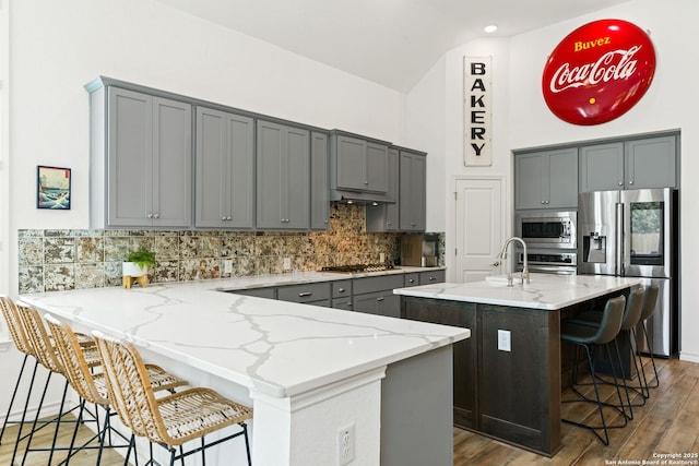 9730 Kremmen, Boerne, TX 78006 - kitchen with stainless steel appliances, gray cabinets, a peninsula, and high vaulted ceiling